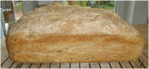 kastenweizen_klein_001